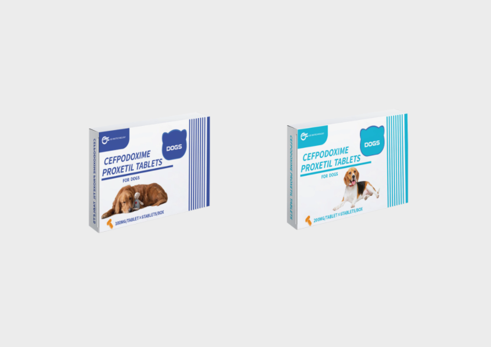 Cefpodoxime Proxetil Tablets