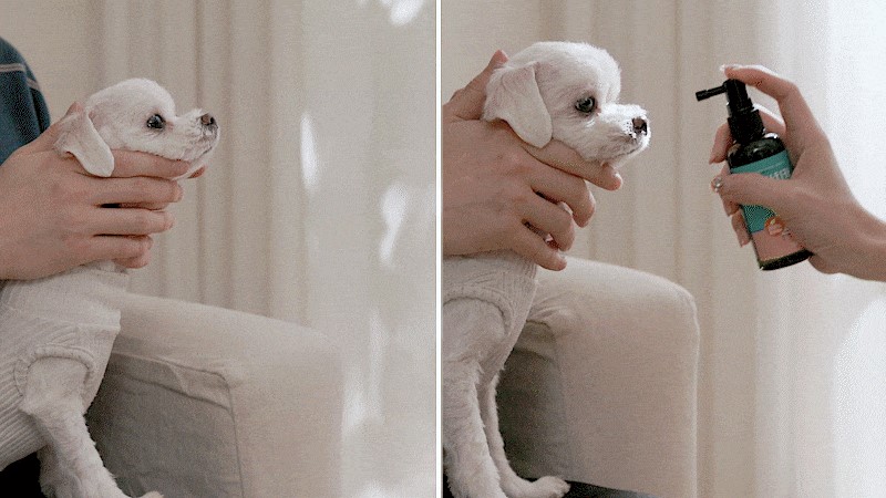 涝晨货力芭 康惑2.jpg